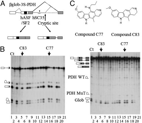 Fig. 4.