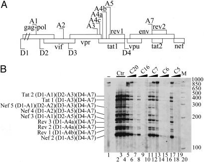 Fig. 5.