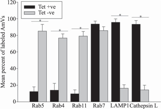 FIG 10