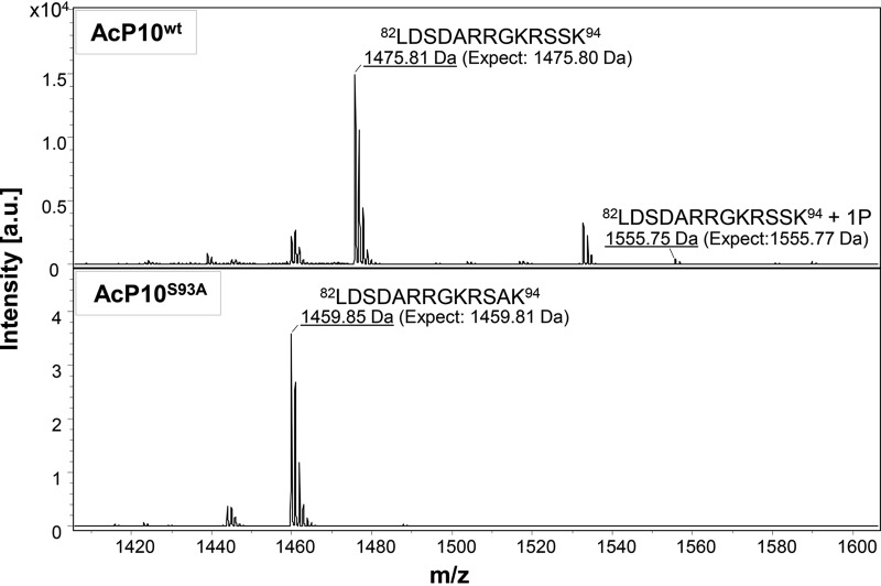 FIG 5