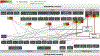 Fig. 2.