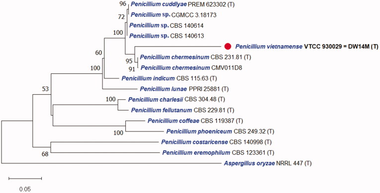 Figure 2.