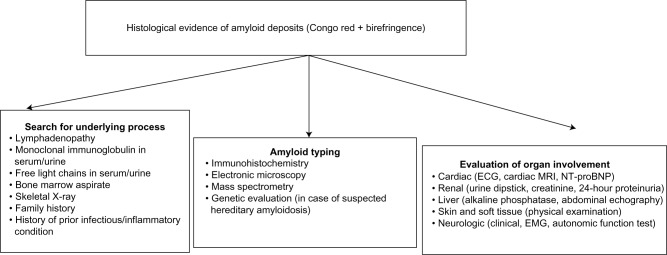 Systemic AA amyloidosis: epidemiology, diagnosis, and management - PMC