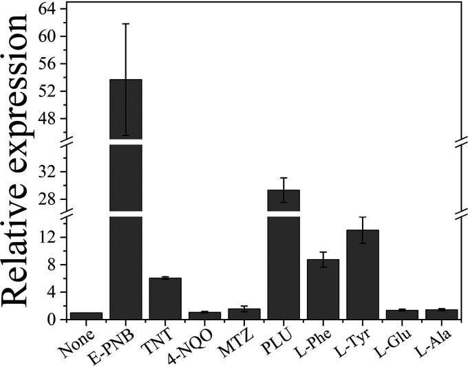 FIG 5