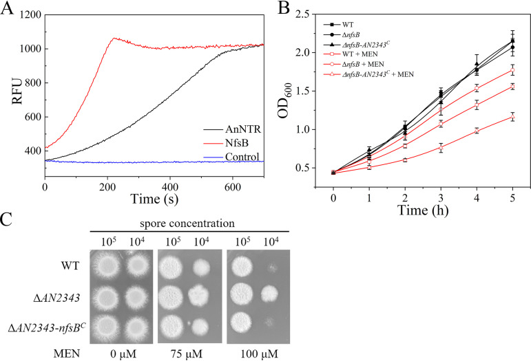 FIG 4