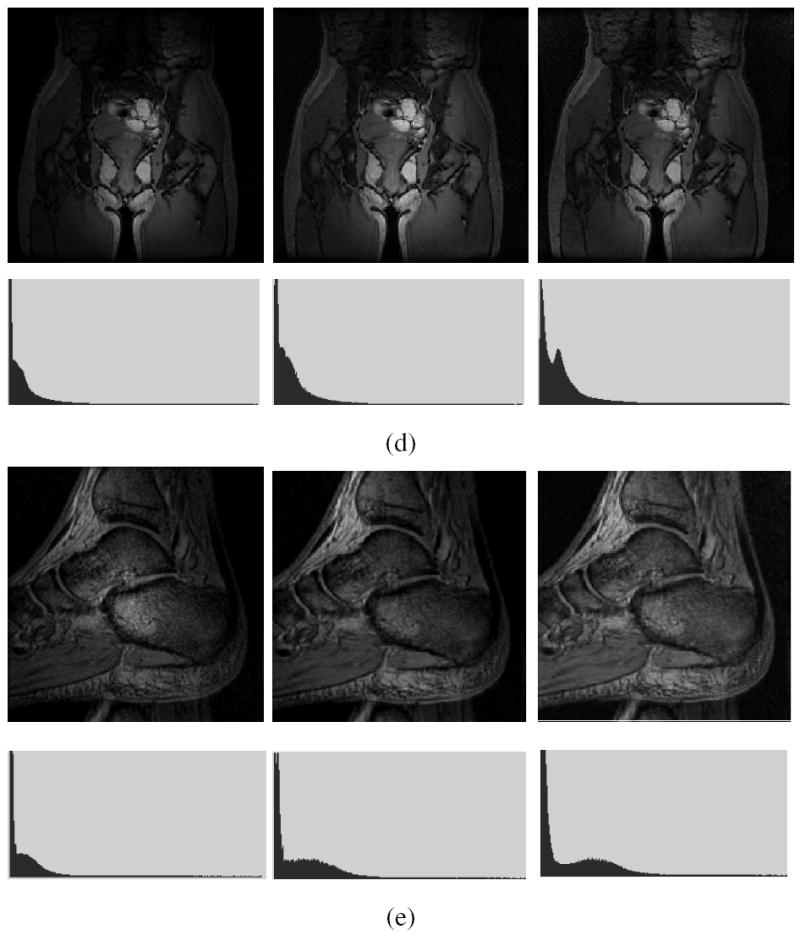 Fig. 5