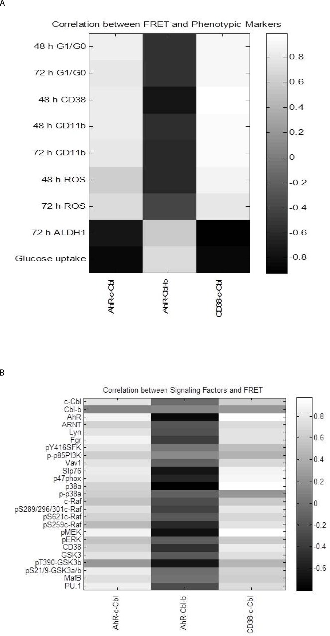 Fig 11