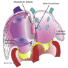 Figure 6