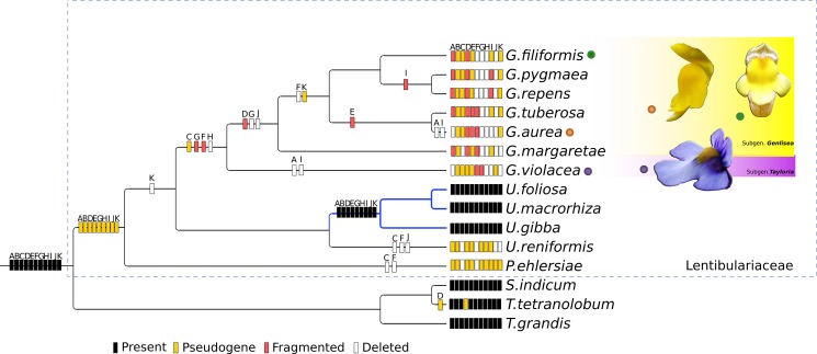 Fig 4