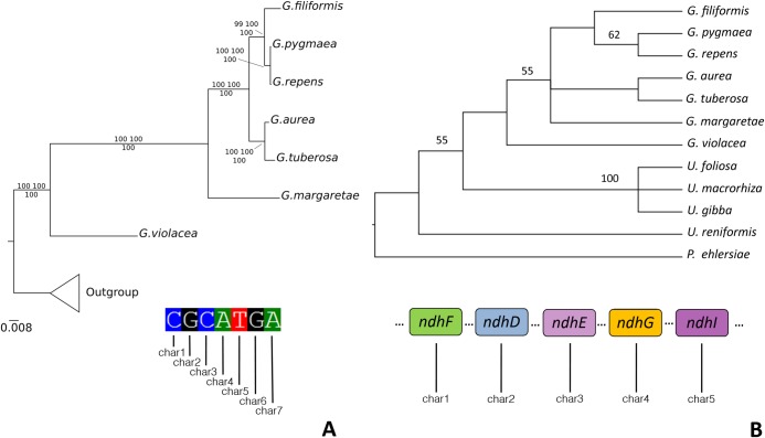 Fig 5