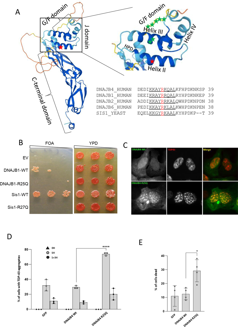 Figure 4: