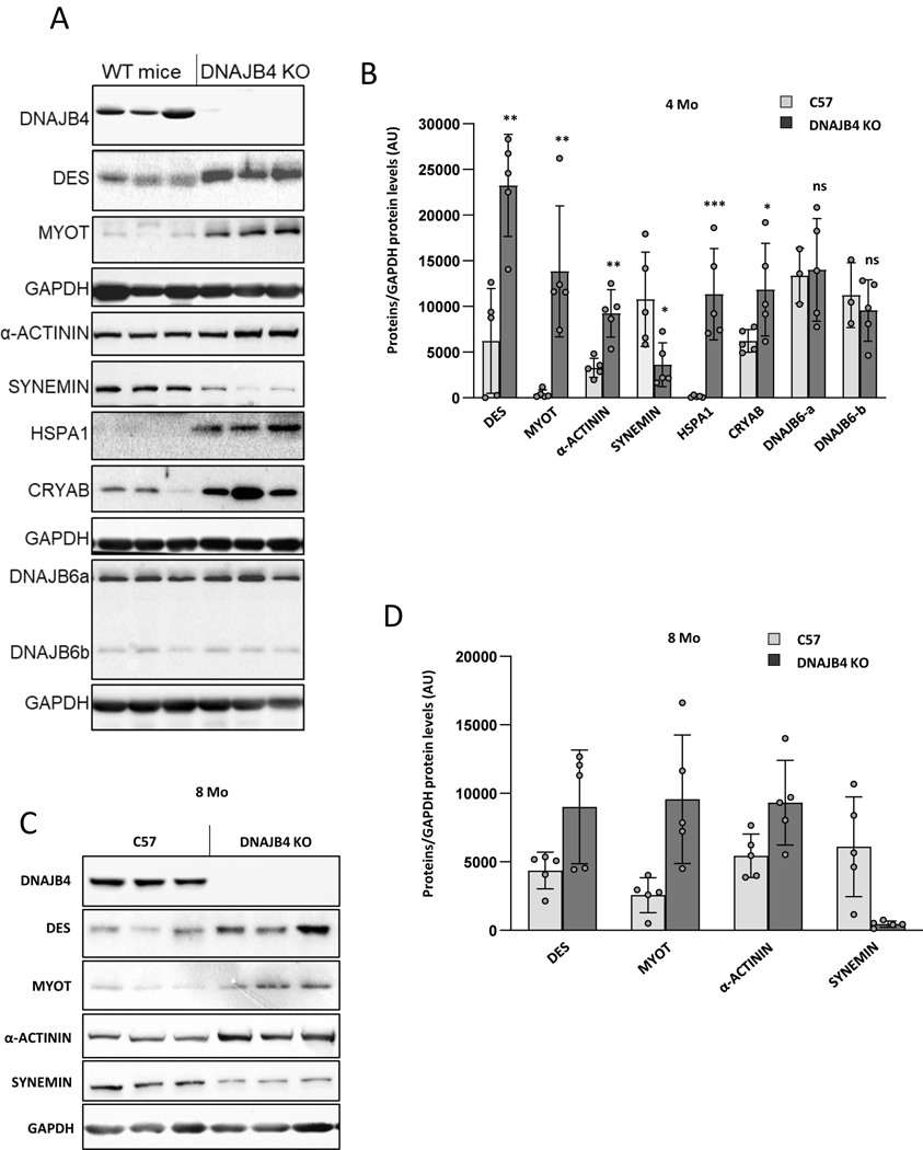 Figure 7: