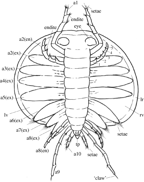 Figure 2.