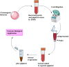 Fig. 1