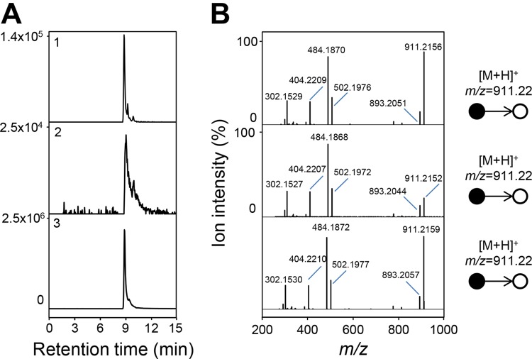 FIG 6