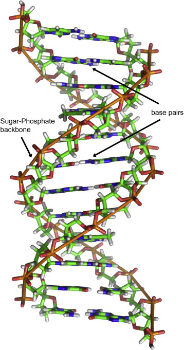 Figure 3.8