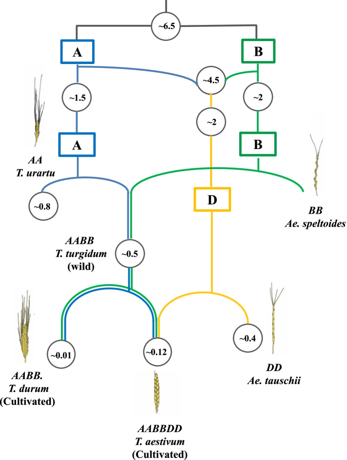 Fig. 1