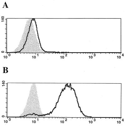 FIG. 5.