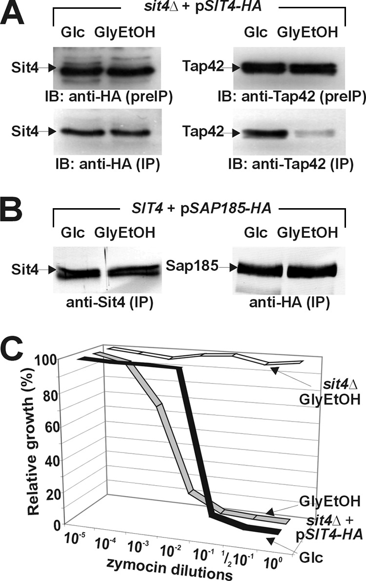 FIG. 2.