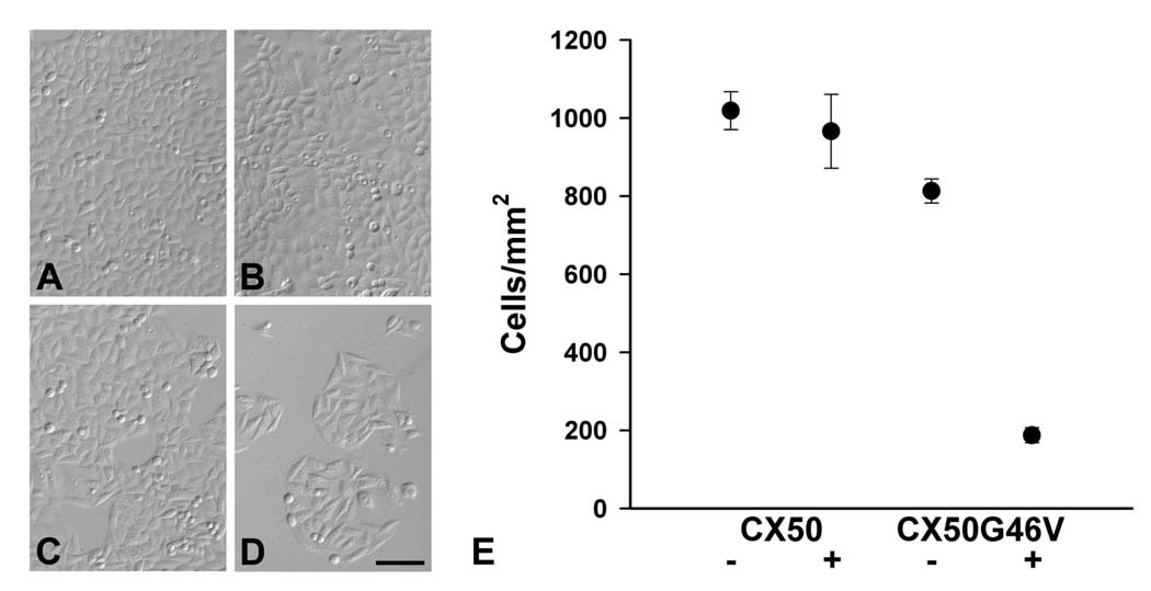 FIGURE 4