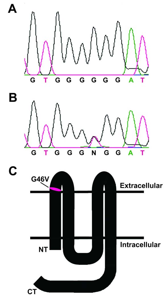 FIGURE 1