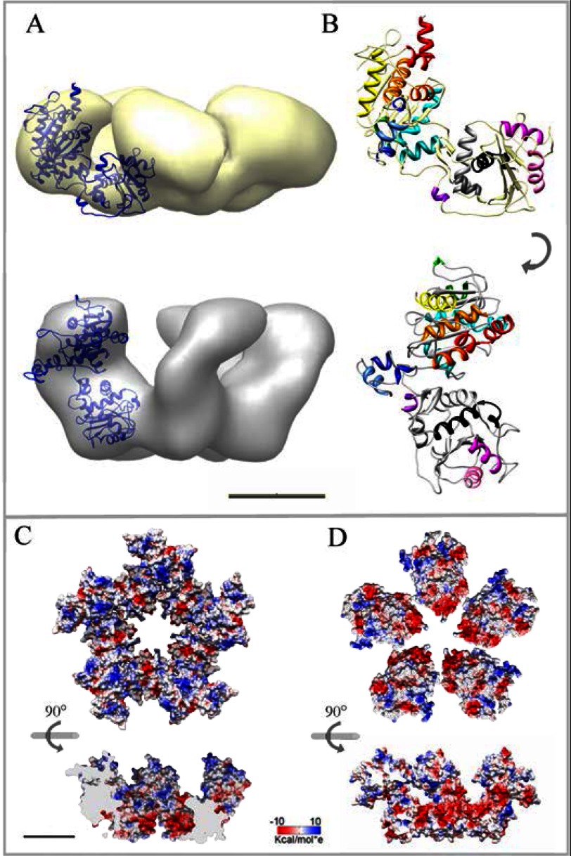 FIGURE 5.