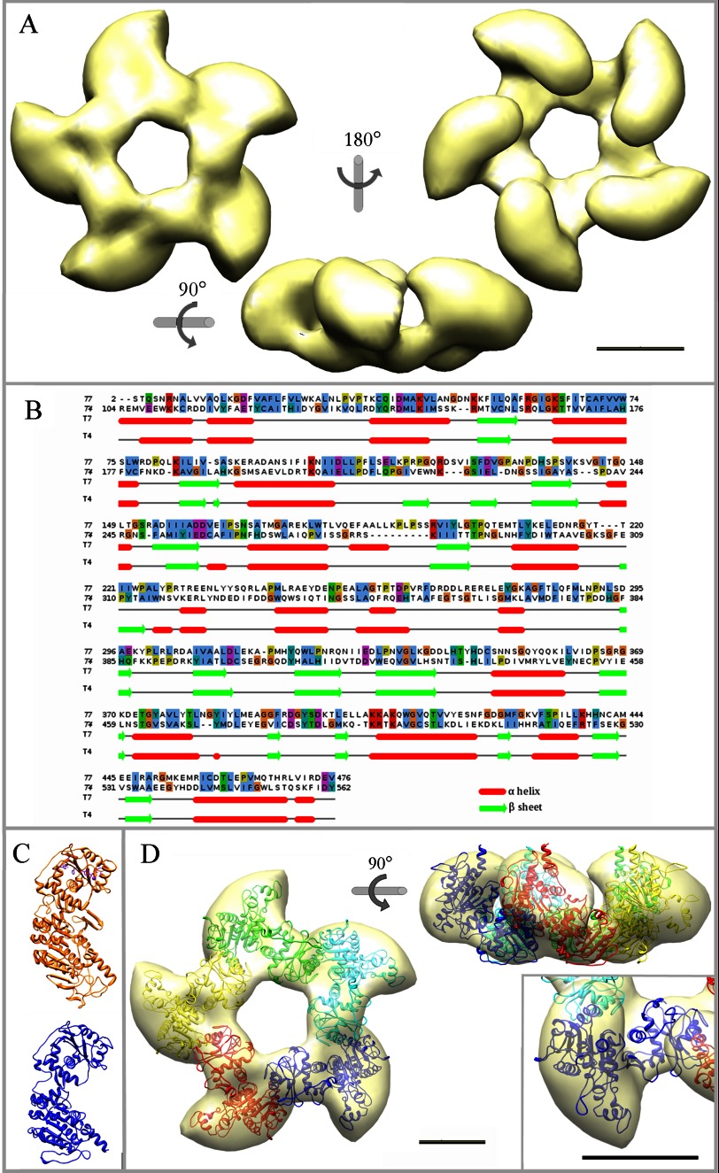 FIGURE 2.