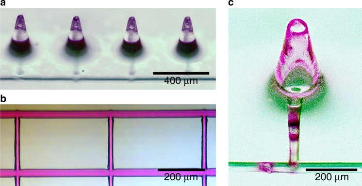 Fig. 4