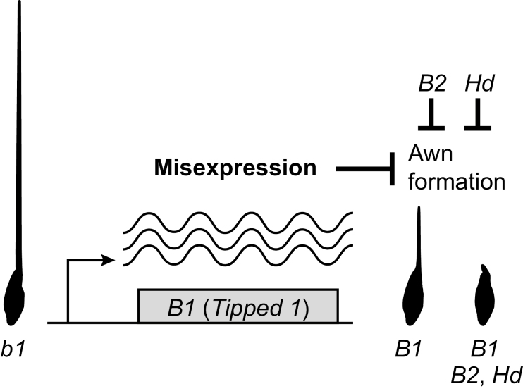 Fig. 5.