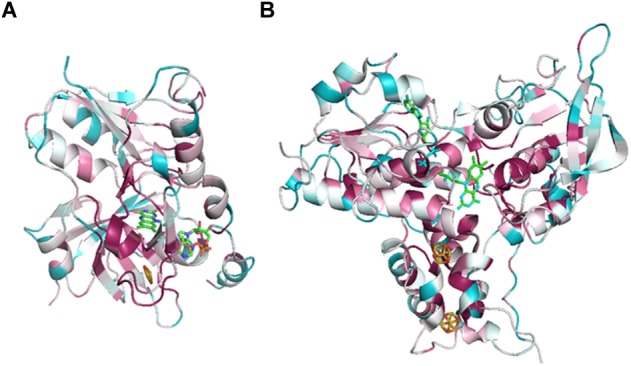 FIGURE 5