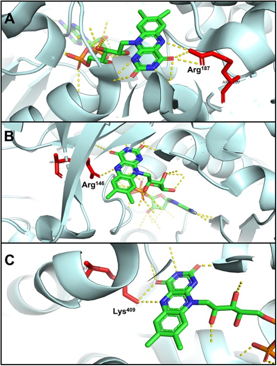 FIGURE 6