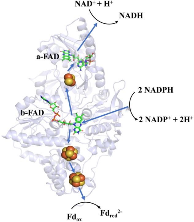 FIGURE 4