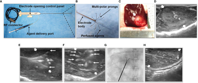 Figure 2