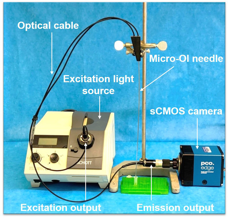 Figure 1