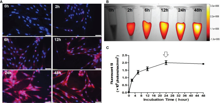 Figure 4