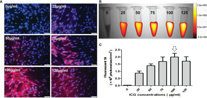 Figure 3