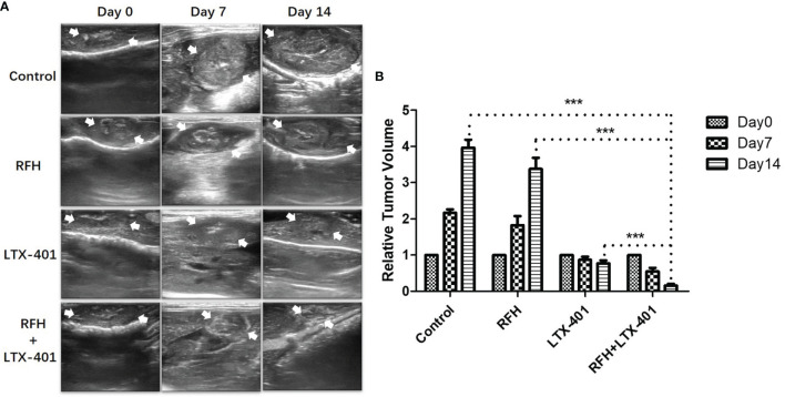 Figure 7