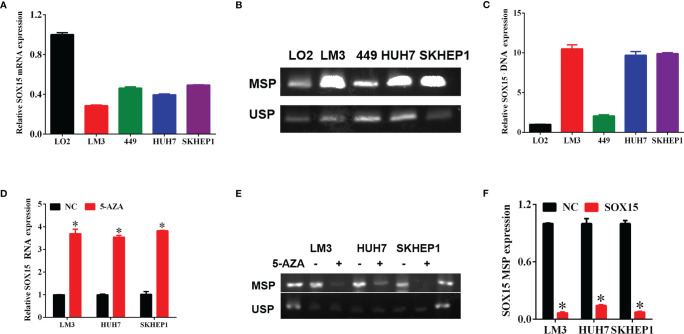 Figure 4