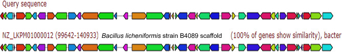 Fig. 5