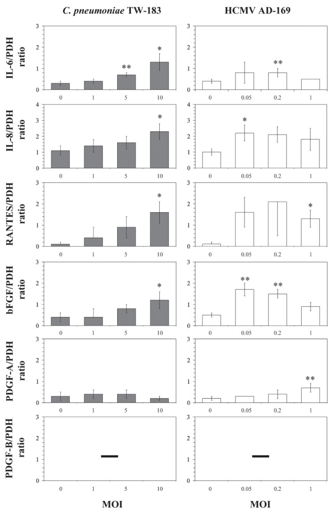 Figure 2)