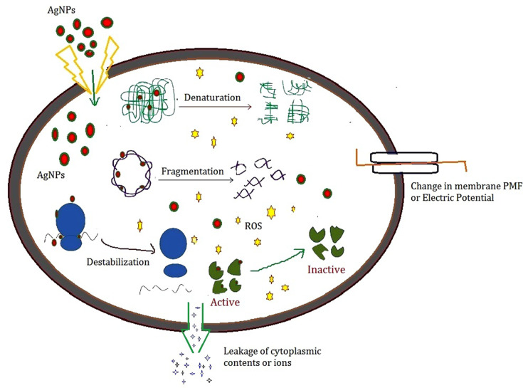 Figure 11