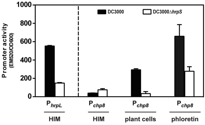 FIG 1 