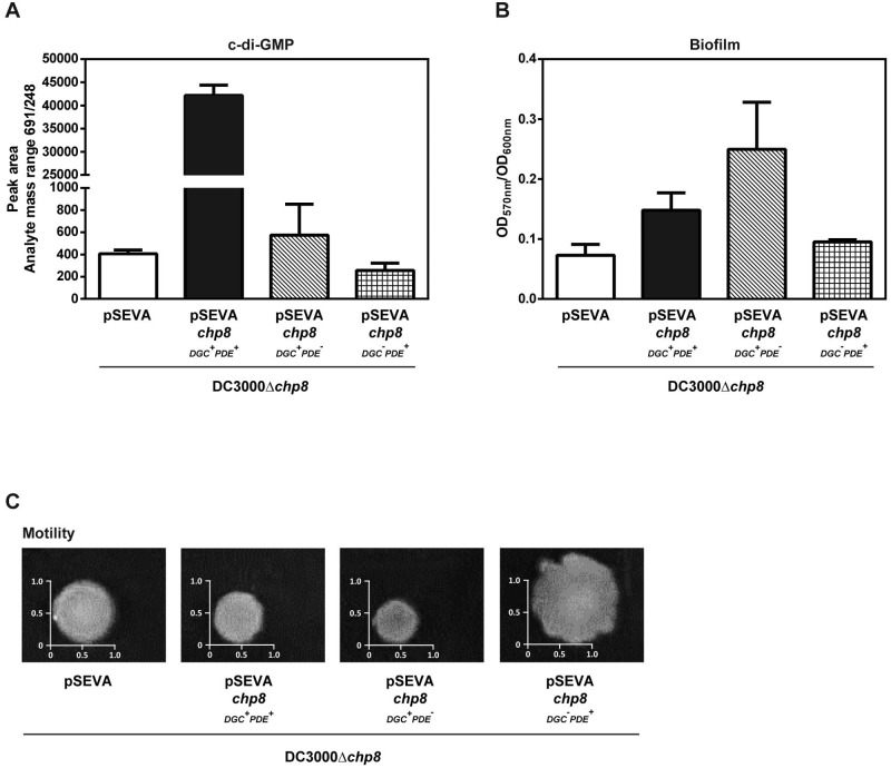 FIG 2 