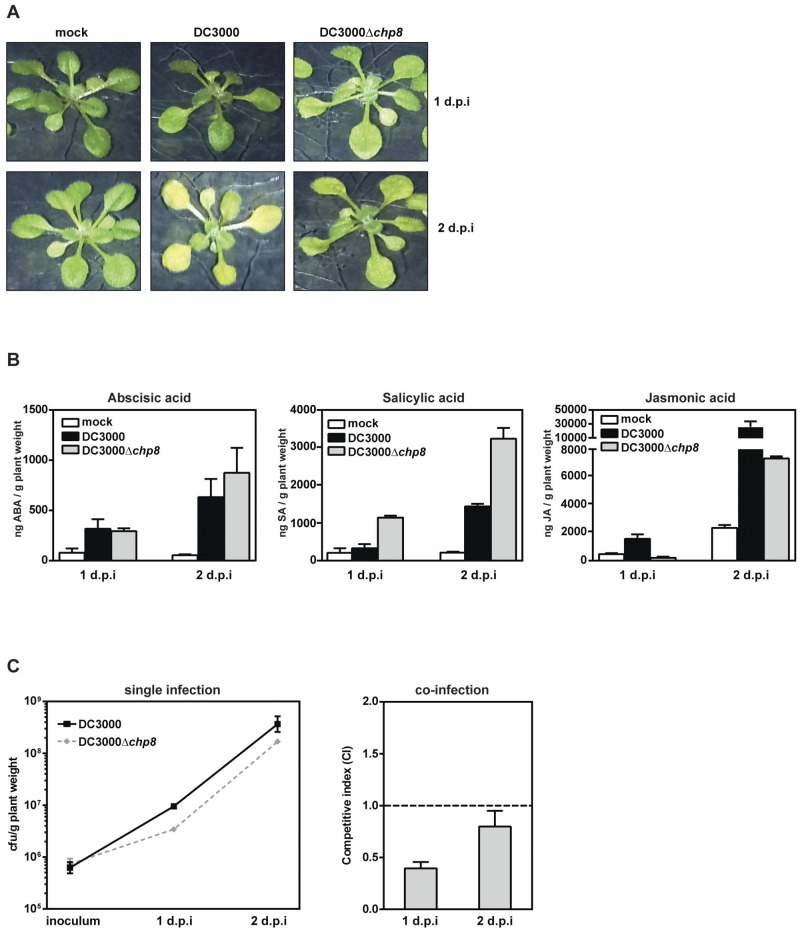 FIG 4 