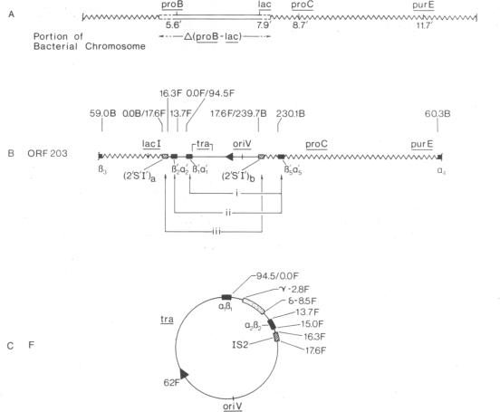 graphic file with name pnas00031-0350-a.jpg