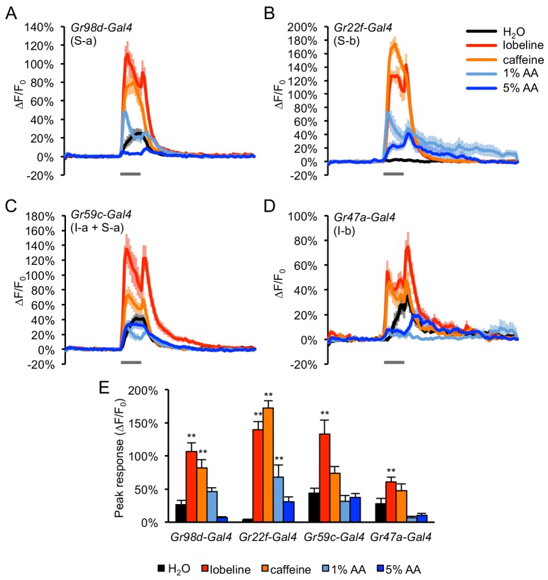 Figure 5—figure supplement 4.