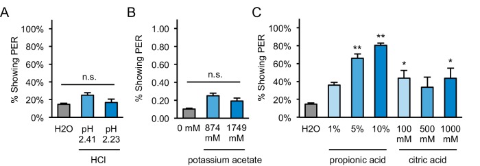 Figure 1—figure supplement 3.