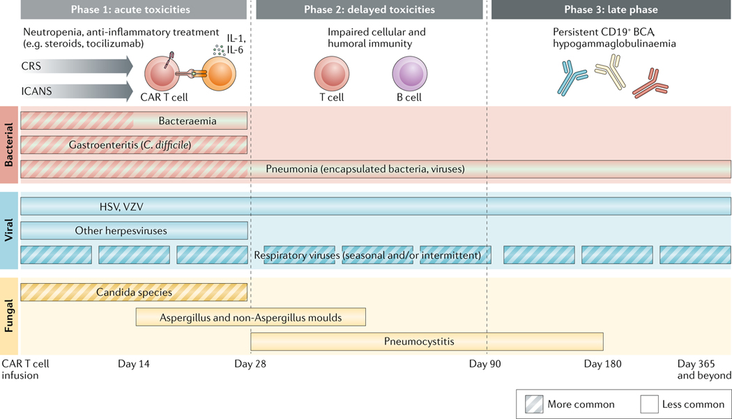 Fig. 2 |