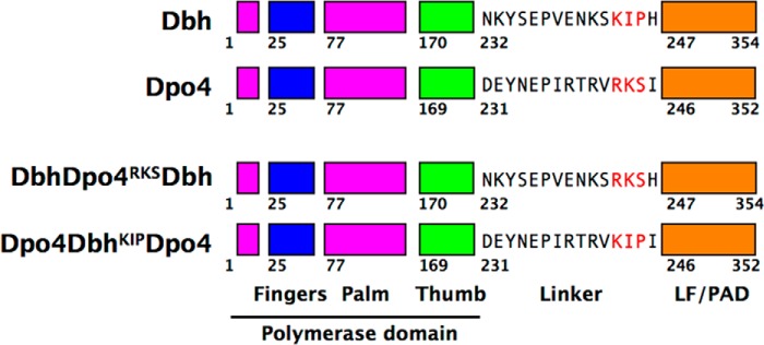 FIGURE 1.