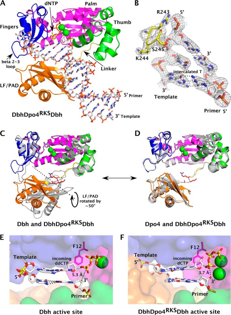 FIGURE 4.